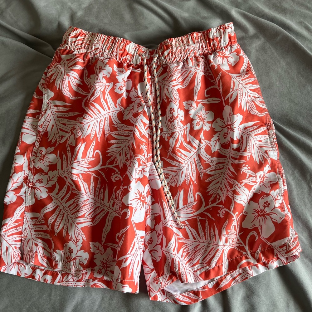 Goodfellow Swim Trunks